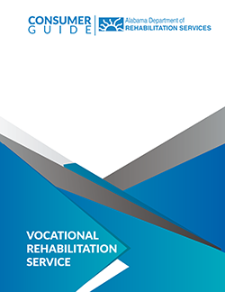 VRS Consumer Guide in large print thumbnail